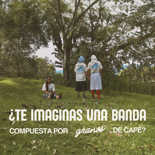 Descubre la Banda del Café: Finca Maputo y su Gira Ficticia