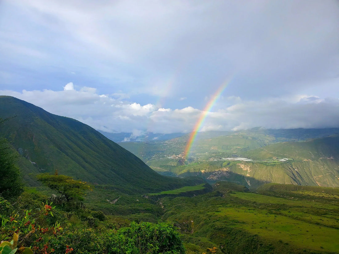 Finca Siempre Verde: café ecuatoriano que nace de la constancia y la experimentación
