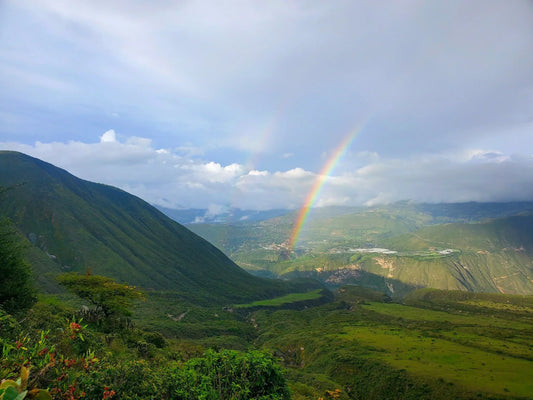 Finca Siempre Verde: café ecuatoriano que nace de la constancia y la experimentación