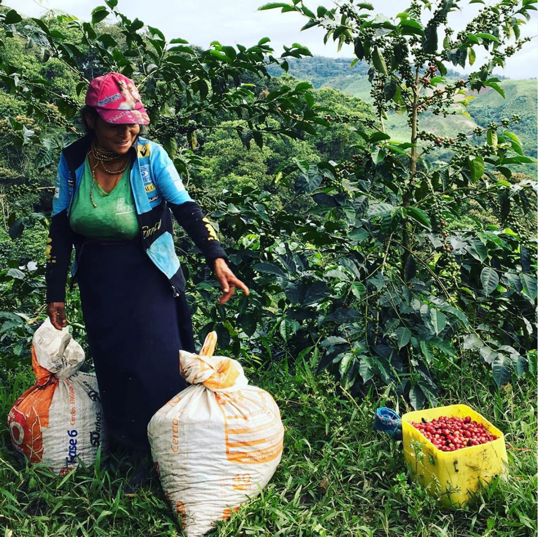 Huma News: Todo lo que debes saber sobre nuestro nuevo origen "4M"