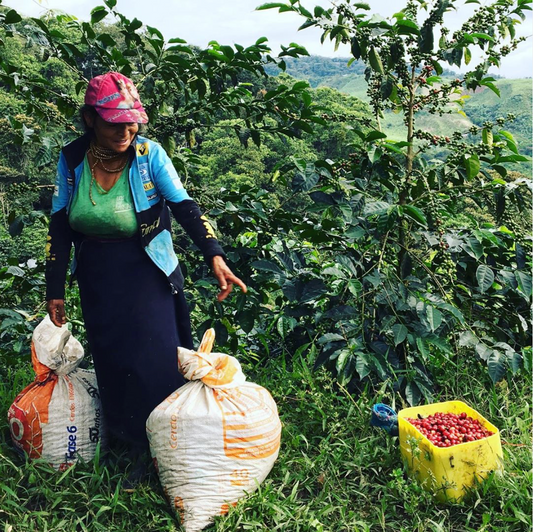 Huma News: Todo lo que debes saber sobre nuestro nuevo origen "4M"