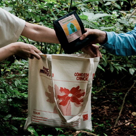Tote Bag "Cómo escribir canciones"
