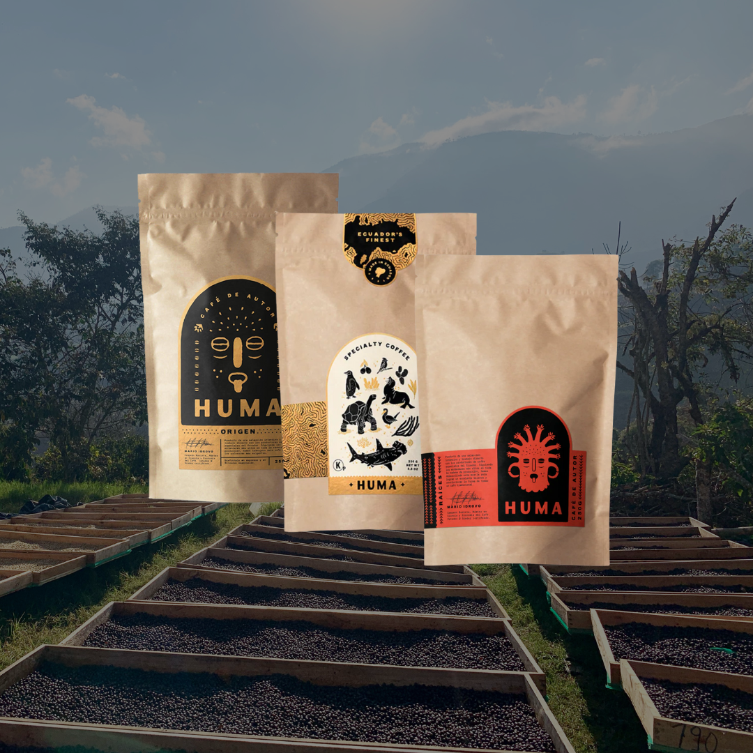 3 Bags of 250g – 70 Cups Subscription