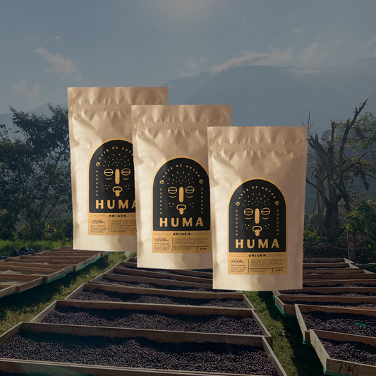 3-Pack Experience – Suscripción