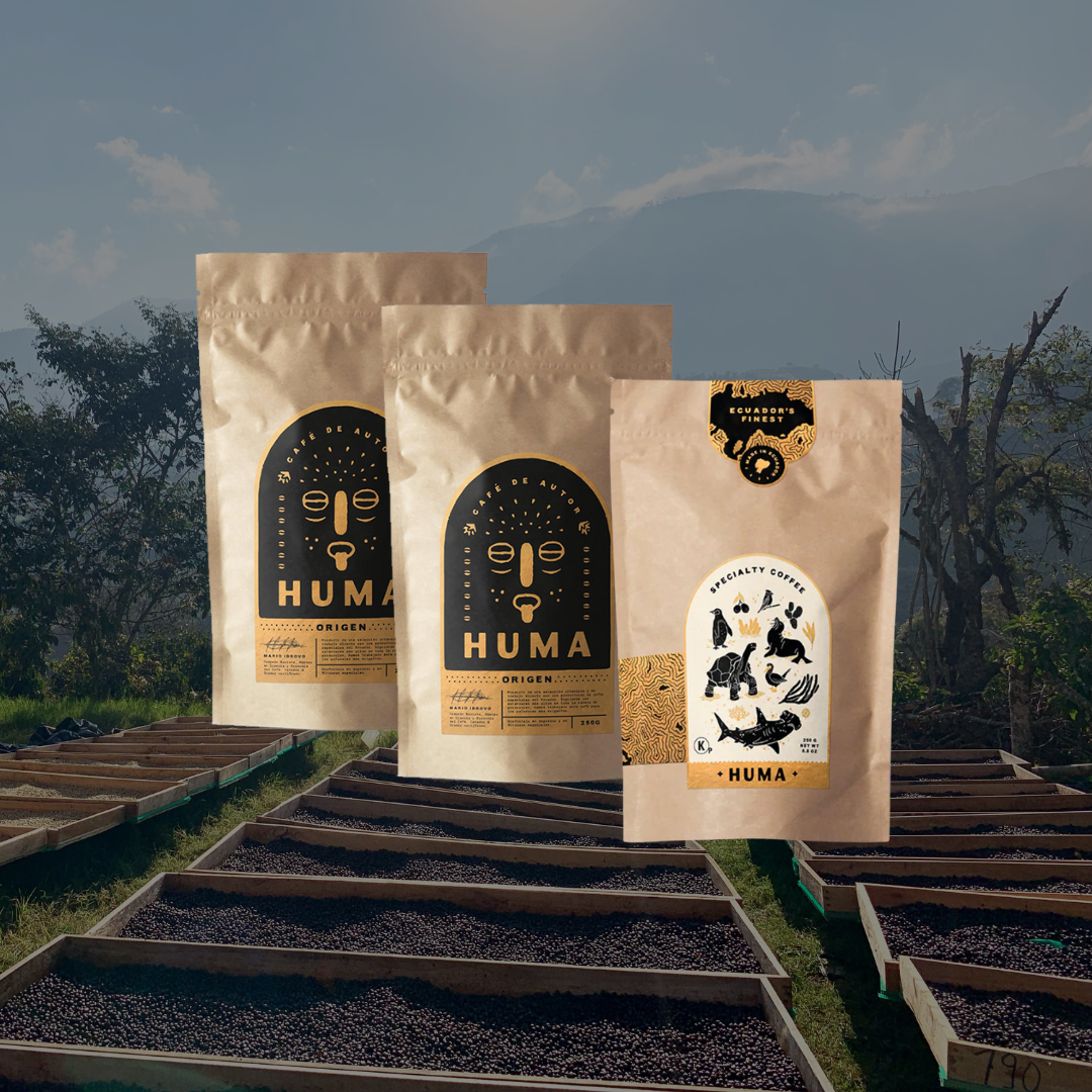 3 Bags of 250g – 70 Cups Subscription