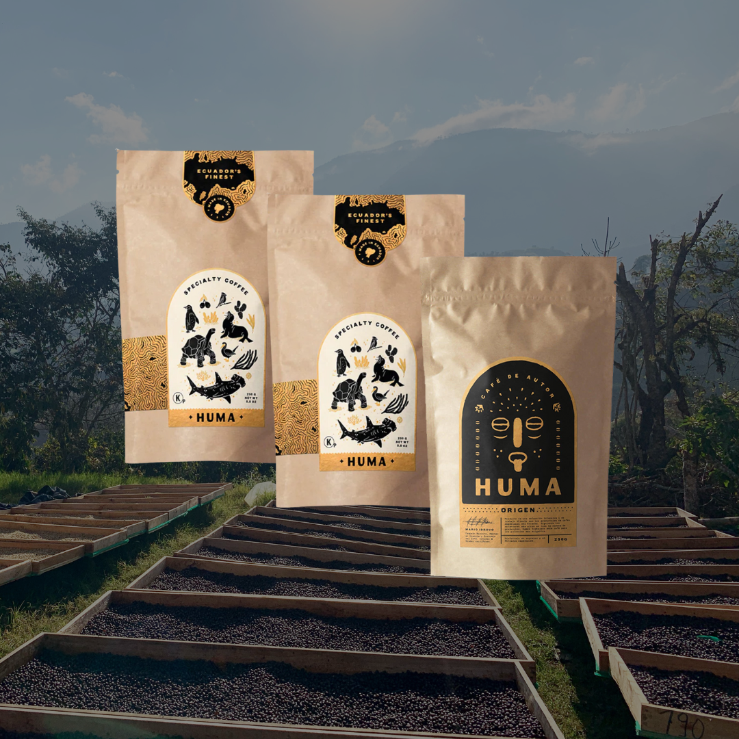 3 Bags of 250g – 70 Cups Subscription