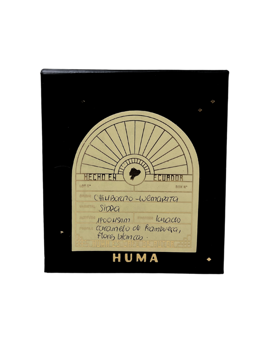 Nano Lots (Lugmapata, Sidra, 88+ SCA)