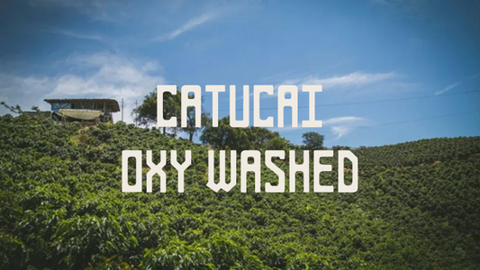 Catucaí Oxy Washed. Loja (250g, 1kg)